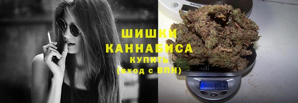 ПСИЛОЦИБИНОВЫЕ ГРИБЫ Баксан