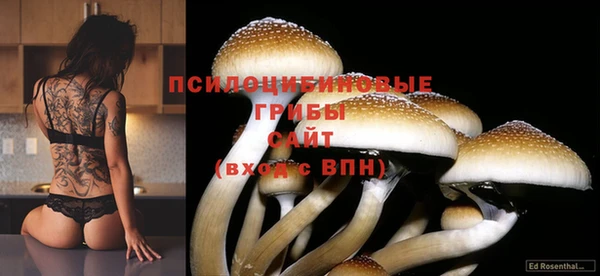 стафф Балабаново