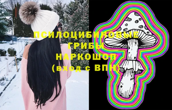 ПСИЛОЦИБИНОВЫЕ ГРИБЫ Баксан
