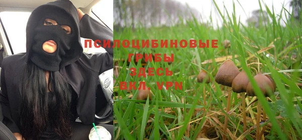 дживик Балахна