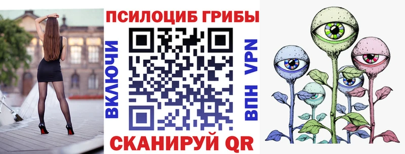 Псилоцибиновые грибы Psilocybine cubensis  Гагарин 